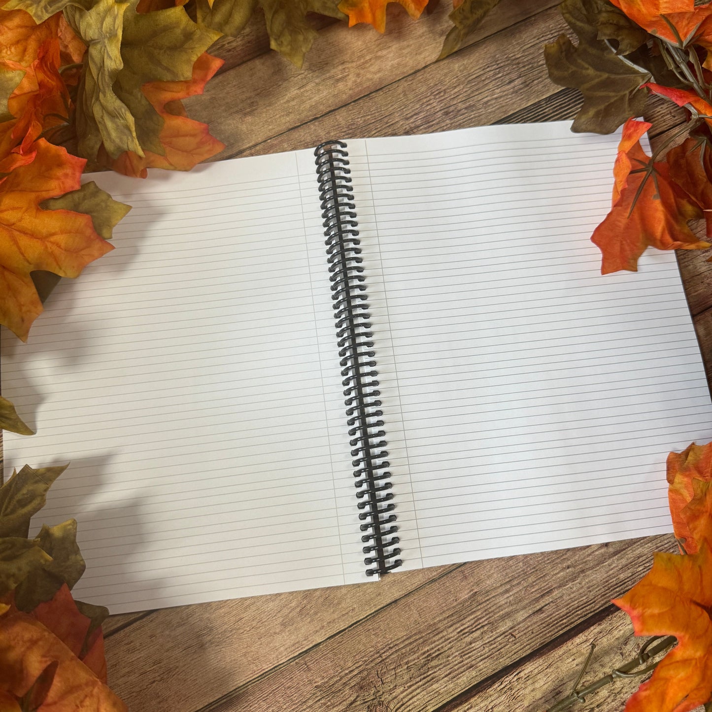 Geode Notebook